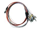 MPO to 12 LC 900um Breakout Fiber Cable