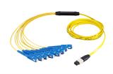 MPO to 12 SC 900um Breakout Fiber Cable