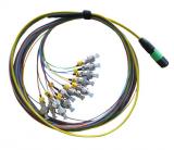 MPO/APC to 12 FC 900um Breakout Fiber Cable