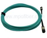 OM3/OM3 24F MPO/MTP Fiber Cable