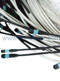Armored MPO Multi Trunk Cable Assembly