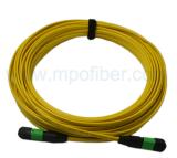 SM 9/125 MPO/MTP Fiber Cable Ribbon