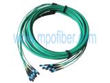OM4 6x12 MPO Multi Trunk Cable Assembly