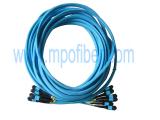 OM3 72F MTP Multi Trunk Cable Assembly
